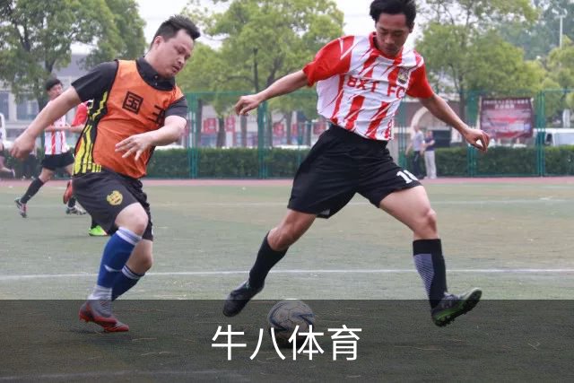 牛八体育公司简介